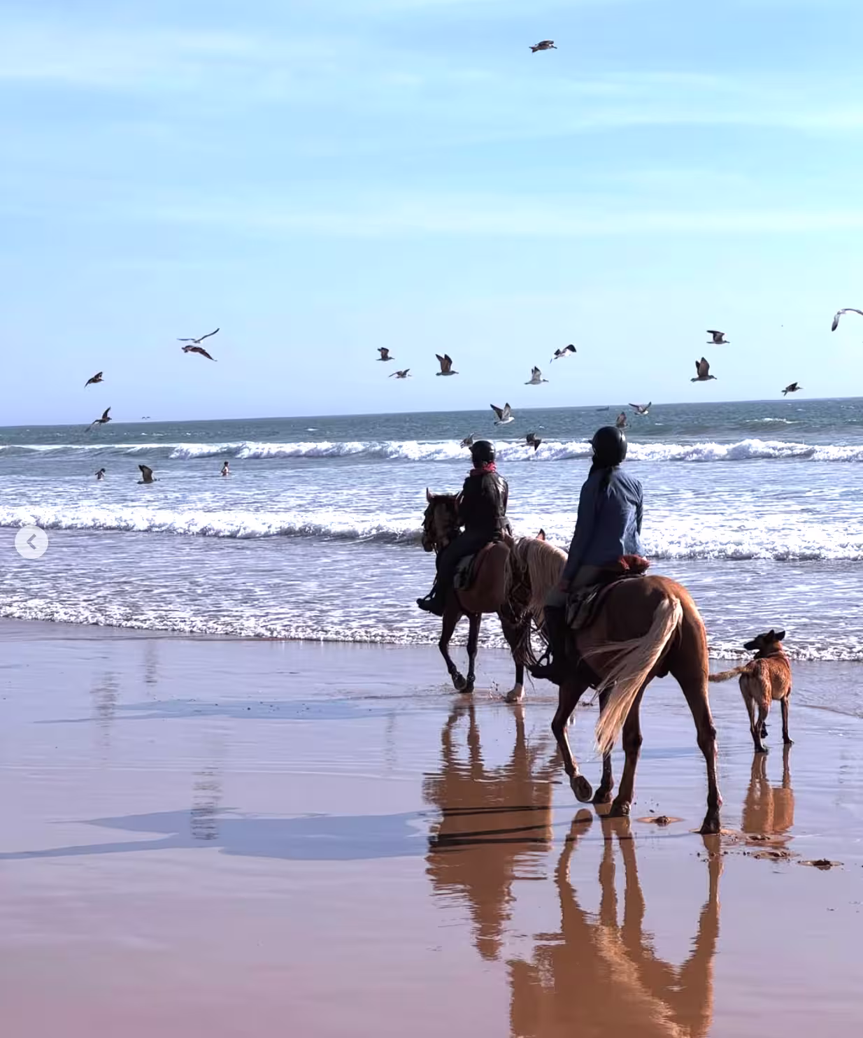 Balade équestre de la montagne à la plage au Maroc
